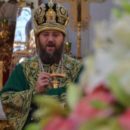 Пам'ять преподобного Воніфатія Київського