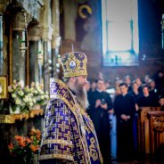 Митрополит Бориспільський і Броварський Антоній взяв участь в хіротонії єпископа Дубенського