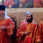 Пам'ять священномученика Володимира (Богоявленського), митрополита Київського