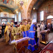 Митрополит Бориспільський і Броварський Антоній освятив престол Свято-Успенського храму села Погреб
