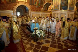 У свято Володимирської ікони Пресвятої Богородиці митрополит Антоній співслужив собору архієреїв та духовенства УПЦ