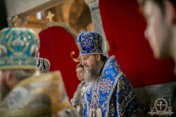 У день Похвали Пресвятої Богородиці митрополит Бориспільський і Броварський Антоній взяв участь в архієрейській хіротонії архімандрита Амвросія (Вайнагія)