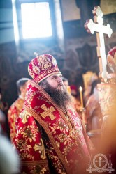 День пам’яті священномученика Володимира (Богоявленського)