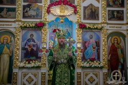 Митрополит Бориспільський і Броварський Антоній очолив торжества з нагоди 130-ліття храму Покровського храму в селі Плоске