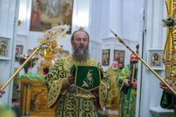 Митрополит Бориспільський і Броварський Антоній очолив Божественну Літургію у Свято-Троїцькому Браїлівському монастирі Вінницької єпархії