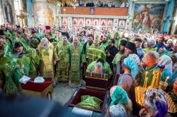 Митрополит Бориспільський і Броварський Антоній взяв участь у чині прославлення місцевошанованих святих Олександрійської єпархії