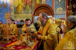 Митрополит Бориспільський і Броварський Антоній взяв участь в освяченні храму у Вишневому