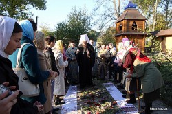  Митрополит Бориспільський і Броварський Антоній освятив храм у селі Красне Згурівського району