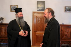 Митрополит Антоній зустрівся з професором Церковної академії міста Салонік (Греція)